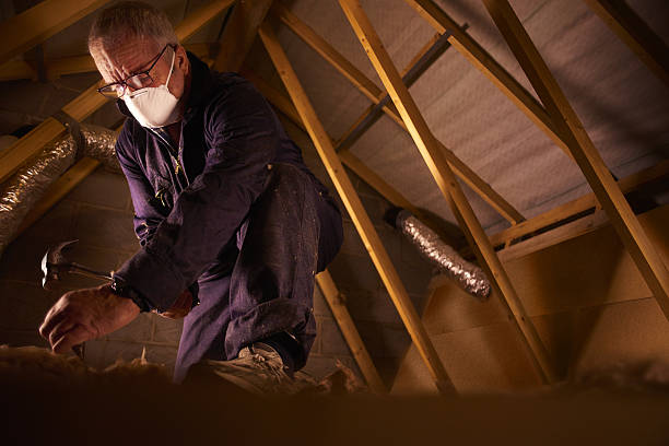 Best Insulation Installation Services in Stock Island, FL