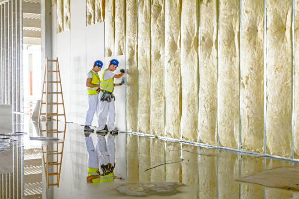 Best Insulation Maintenance and Repair in Stock Island, FL